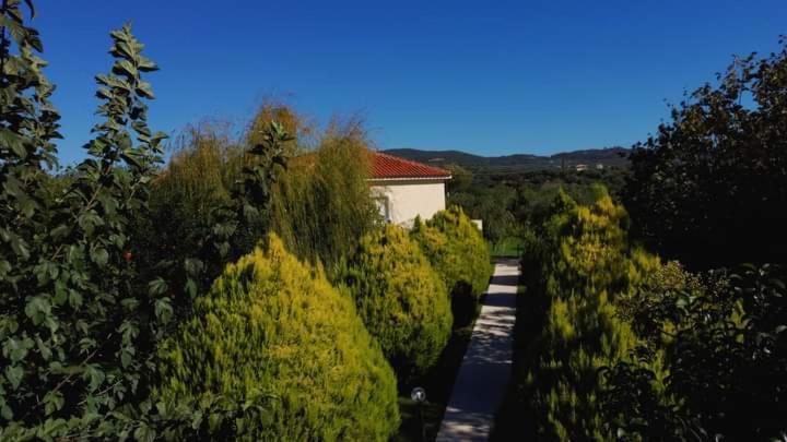 Katerina House Apartment Finikounta Exterior photo